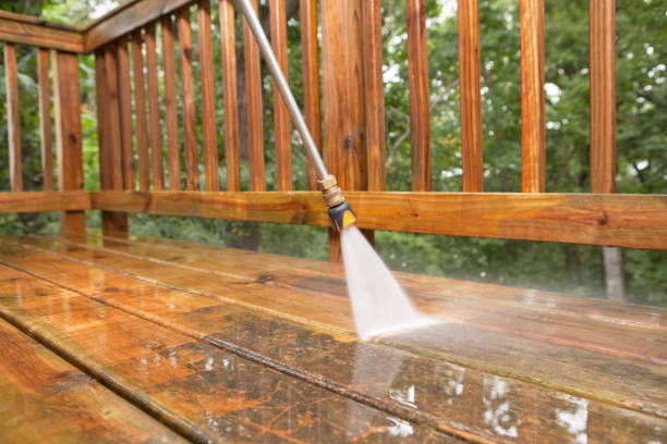 Best Exterior Home Cleaning  in Lyles, TN